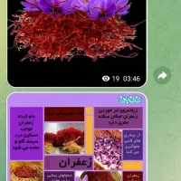زعفران اعلا نطنز