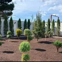 کاشت گل و گیاه ،هرس کردن ،طراحی ،اجرای فضای سبز،