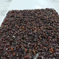 صادرات واردات