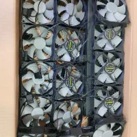 فن کیس گرین