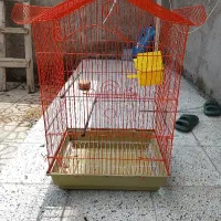 قفس پرنده