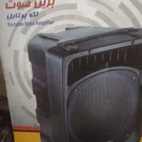 اکو و میکروفون.UHF بی سیم برد بالا