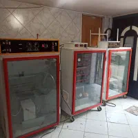 تعمیر تعمیرات دستگاه جوجه کشی خانگی و صنعتی|لوازم جانبی حیوانات|اصفهان, لاله|دیوار