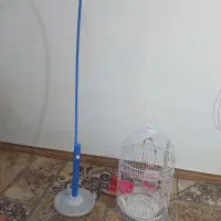فروش قفس پرنده با یک بسته غذا ی پرنده