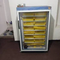 دستگاه جوجه کشی بلدرچین دماوند