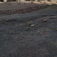 زمین فروشی در چاه جمال