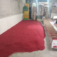 زرشک دانه اناری درجه یک اصل قاینات