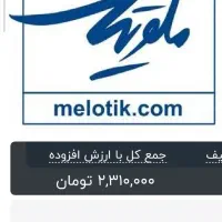 بلیط کنسرت حامی