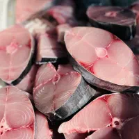 ماهی قزل آزاد دریایی