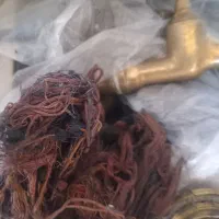 سلام‌دوستان‌فلزات تناژبالا‌کل استان چهارمحال
