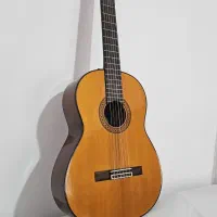 گیتار  c80 نو