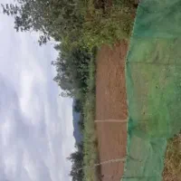 زمین متراژ ۳۰۰متری مسکونی و متراژ ۴۰۰ متری باغی|فروش زمین و ملک کلنگی|ماکلوان, |دیوار