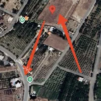 فروش ۶۰۰۰ متر زمین باغ باباریز مناسب باغ و گلخانه|فروش زمین و ملک کلنگی|سنندج, |دیوار