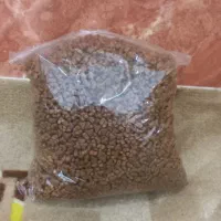 وسایل گربه|لوازم جانبی حیوانات|میناب, |دیوار