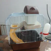 قفس همستر خارجی کم یاب|لوازم جانبی حیوانات|تهران, سازمان برنامه جنوبی|دیوار