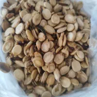تخمه هندوانه