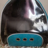 کیف گربه