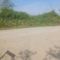 فروش-فوری-چند-پلاک-زمین-مسکونی-روستایی