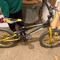 دوچرخه ساحلی