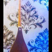 دوتار خوش صدا|سازهای سنتی|بجنورد, |دیوار