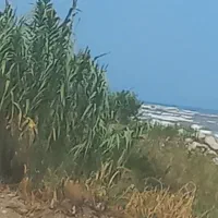 فروش خط همراه اول ۰۹۱۵۷۹۵۹۳۳۷