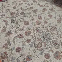 فرش دوازده متری|فرش|رودسر, |دیوار