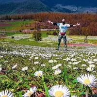 تور گردشگری