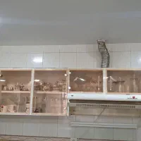 کابینت فلزی سالم ورق گالوانیزه