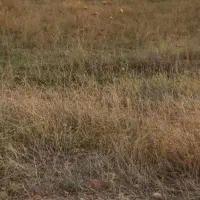 فروش زمین ۱ هکتار|فروش زمین و ملک کلنگی|ماکو, |دیوار