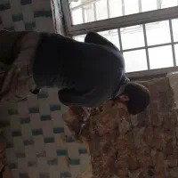 تخریب‌و نوسازی