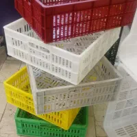 سبد حمال،خرما،گوجه،لبنیات،فلفل دلمه|عمده‌فروشی|شیراز, شهرک صنعتی شیراز|دیوار