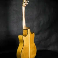 گیتار کلاسیک کنسرتی|گیتار، بیس، امپلیفایر|تهران, شیخ هادی|دیوار