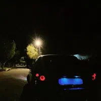 206 لوازمی بدون رنگ