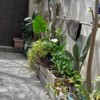 خانه ویلایی|فروش خانه و ویلا|رضوانشهر, |دیوار