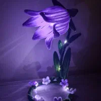 چراغ خواب پیپ پاکنی