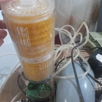 اکواریم بزرگ