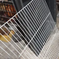 قفس بزرگ|پرنده|رشت, ولکس|دیوار