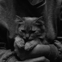 همخونه میشم خونه دارم آقا هستم