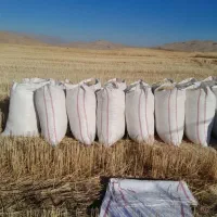 کاه دیم کوهدشت درجه یک