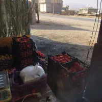 اجاره دکه در حال فعالیت|اجارهٔ مغازه و غرفه|شیراز, جمال آباد|دیوار