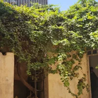 ملک 85 متری کلنگی ملارد|فروش زمین و ملک کلنگی|ملارد, |دیوار