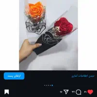 رز ریانی