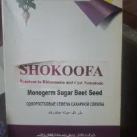 بذر چغندر ایرانی