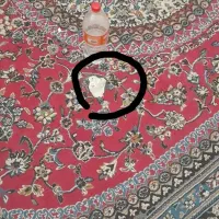 قالی12متری  و موکت