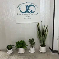 استخدام نیروی خانم خدمات