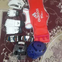 هوگو تکواندو