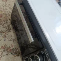 مایکروفر سالم