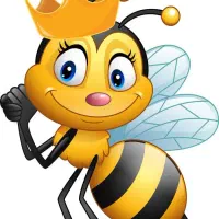 جا برای کندو زنبور بندرعباس باغ گل سر سبز