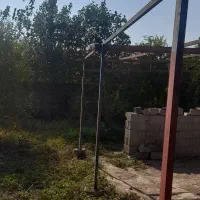 فروش کبوتر|پرنده|فاضل آباد, |دیوار