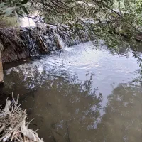 فروش باغ|فروش دفتر صنعتی، کشاورزی، تجاری|الشتر, |دیوار